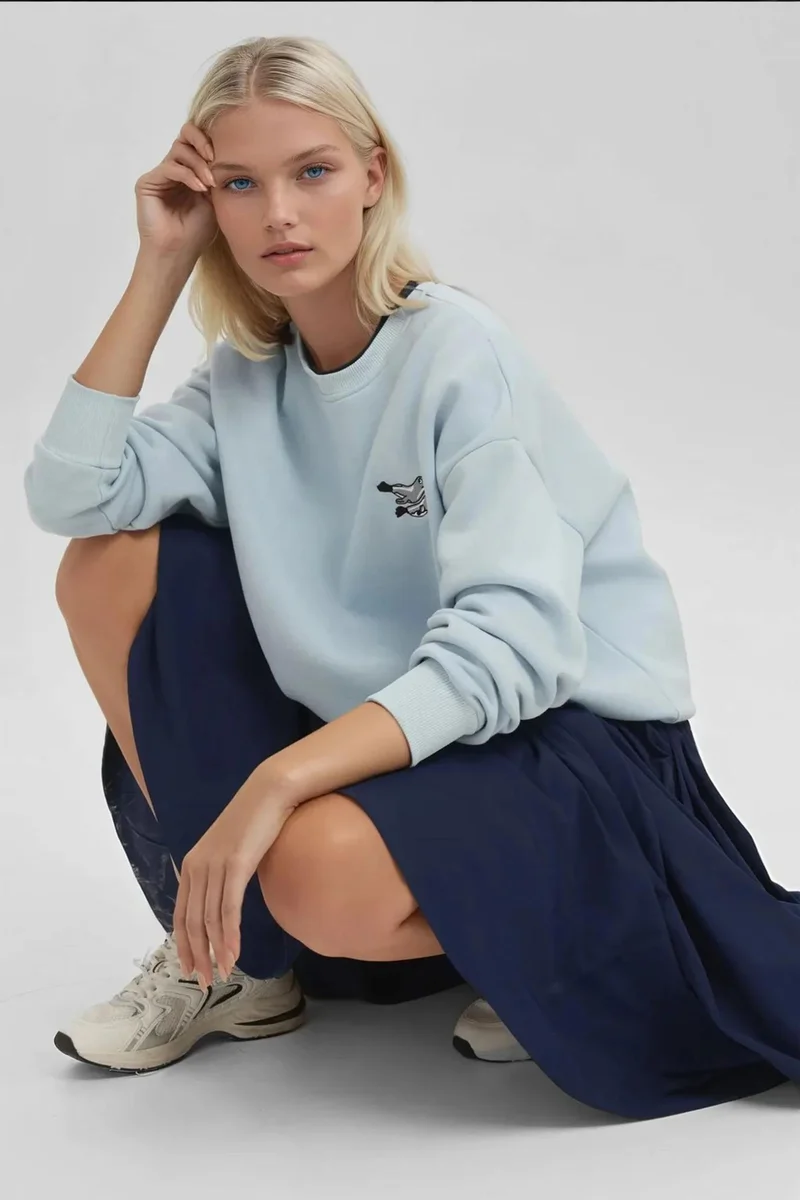 Hiccup Comfort Animal Pattern Embroidered Raised Crew Neck Sweatshirt