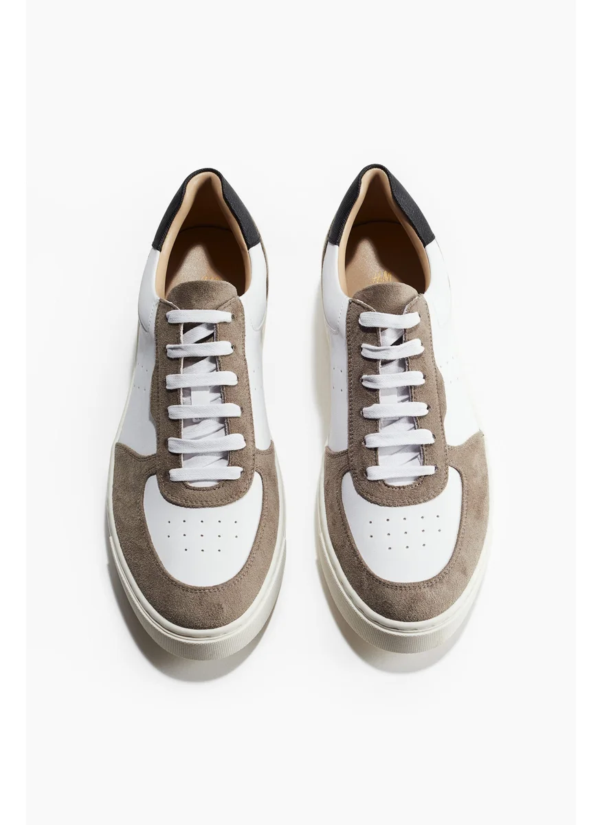 اتش اند ام Trainers