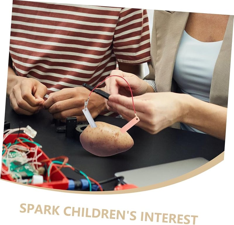 Copper Zinc Electrode Set For Fruit Battery Science Experiments Educational Materials - Image 4