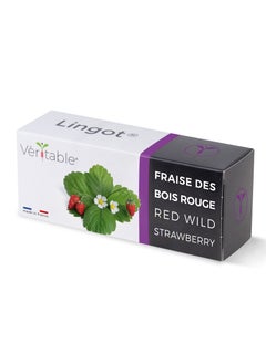 Veritable® Lingots® Collection Wild Red Strawberry - Small Fruits - Organic - Essential aromatic herbs   Organic Seeds - 100%  biodegradable, pesticide and GMO free. Made in France - pzsku/Z2BE35001DA806655897FZ/45/_/1733914356/f99d0478-35ad-498d-8659-f5a78af900b4