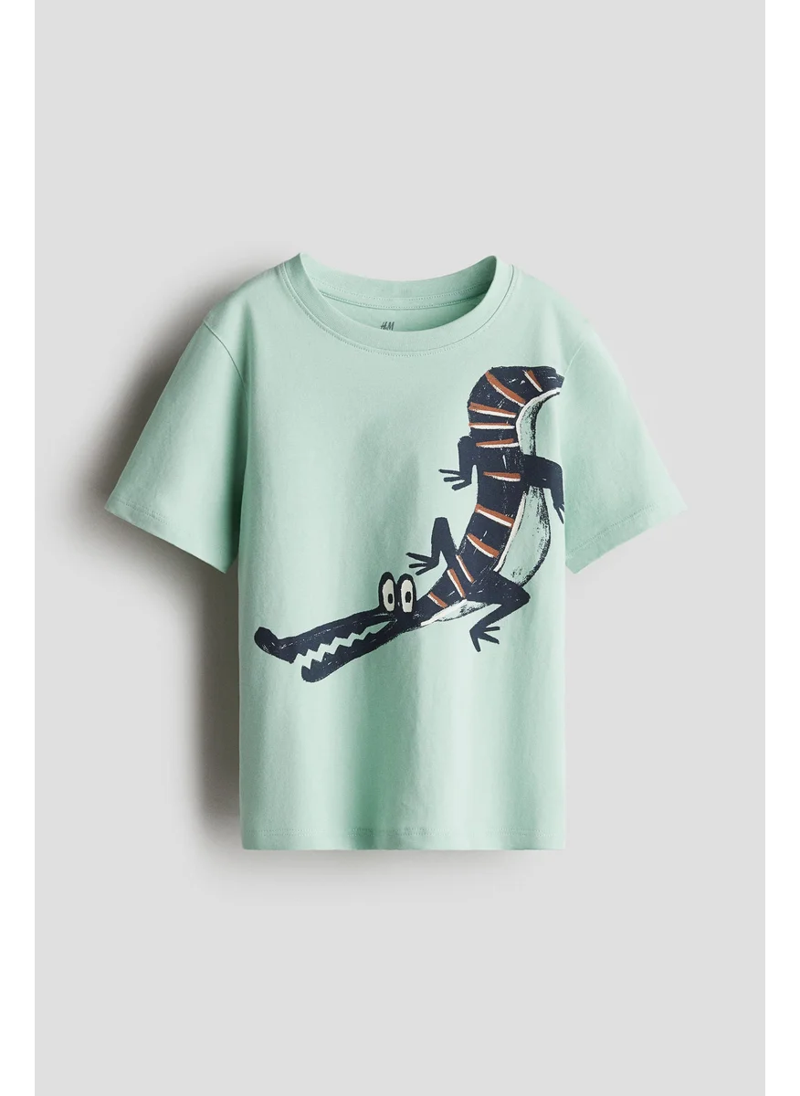 اتش اند ام Printed T-Shirt