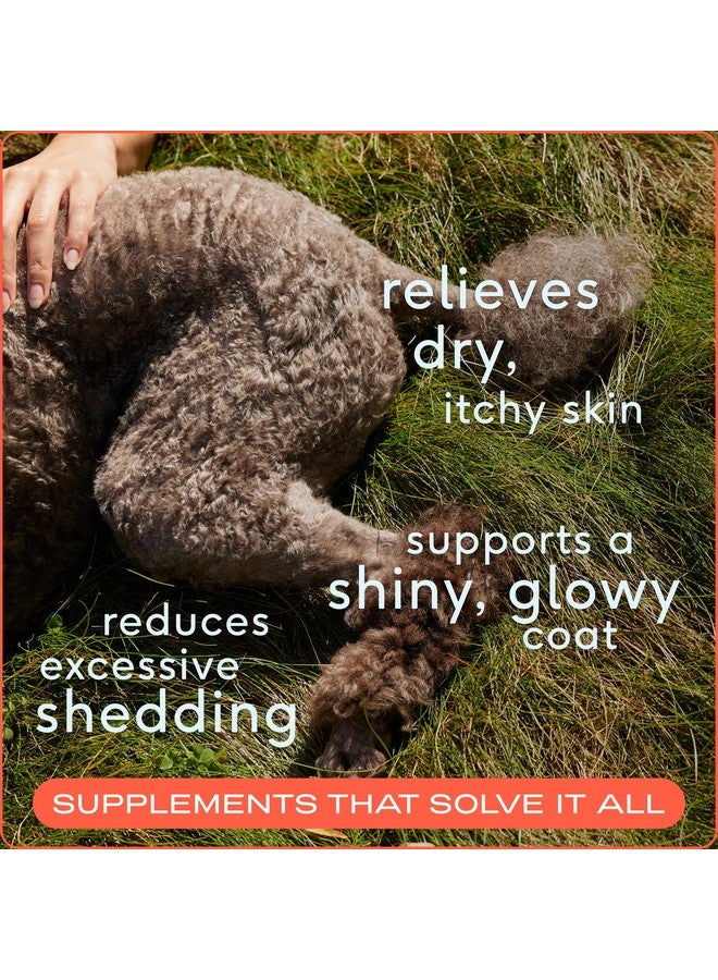 Native Pet Omega 3 Fish Oil for Dogs & Cats - Promotes Healthy Skin, Shiny Coat, & Strong Joints - Made with Wild Alaskan Salmon Oil for Dogs - Tasty, Fast-Absorbing Omega 3 6 9 Liquid Supplement- 8oz - Image 2