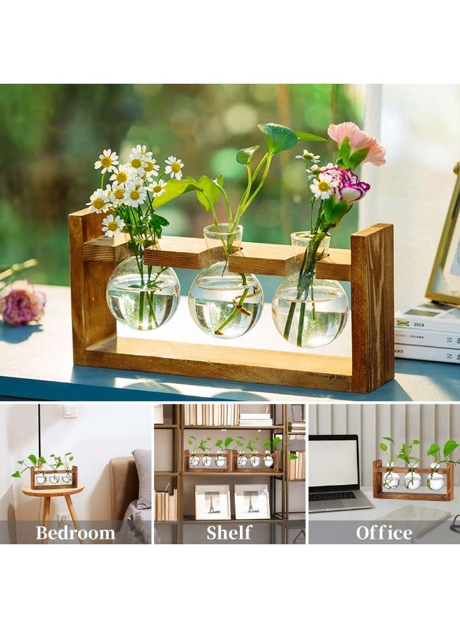 Creative Wooden Frame Hydroponic Propagation Station – Handcrafted Glass Flower Vase for Succulent & Plant Growth | Perfect for Indoor Greenery, Floral Arrangements, and Home Décor | Ideal Gift for Plant Lovers  - Image 1