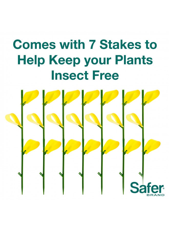 Safer Brand 5026 Houseplant Sticky Stake Insect Traps for Indoor Plants - Controls Fungus Gnats, Whiteflies, Midges, Thrips, Fruit Flies, and Black Flies - 1 Pack, 7 Traps - Image 1