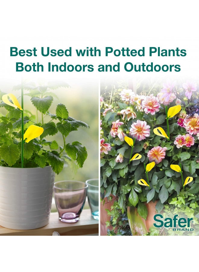 Safer Brand 5026 Houseplant Sticky Stake Insect Traps for Indoor Plants - Controls Fungus Gnats, Whiteflies, Midges, Thrips, Fruit Flies, and Black Flies - 1 Pack, 7 Traps - Image 2
