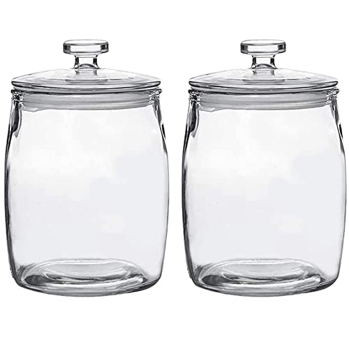 Ritayedet Half Gallon Glass Jars with Lid Wide Mouth Cookie Jars Set of 2 Apothecary Jar for Candy Glass Canisters for Kitchen Storage and Laundry Organization