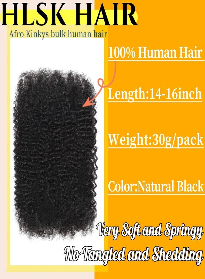 HLSK Afro Kinkys Human Hair Bulk 30g/Pack Natural Black 100% Human Hair Soft 4C Afro Kinky Bulk Human Hair for Locs Extensions/Twists/Braids (Natural Black, 16 Inch) - Image 2