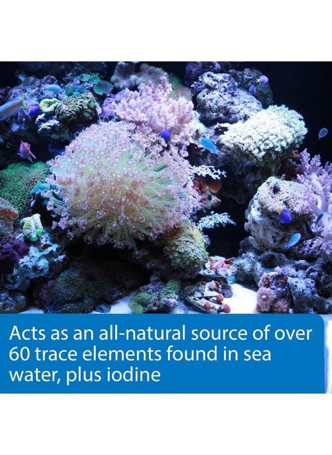 ايه بي آي مُعالج مياه حوض السمك API MARINE COMPLETE TRACE - زجاجة سعة 16 أونصة  - Image 3
