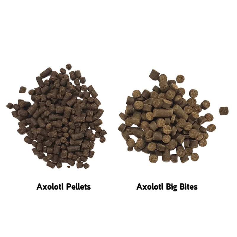 Invert Aquatics Axolotl Big Bites - Fast Sinking, Soft Pellet Daily Diet for Axolotls, Newts, Salamanders & Other Amphibians (3 oz (85g)) - Image 3