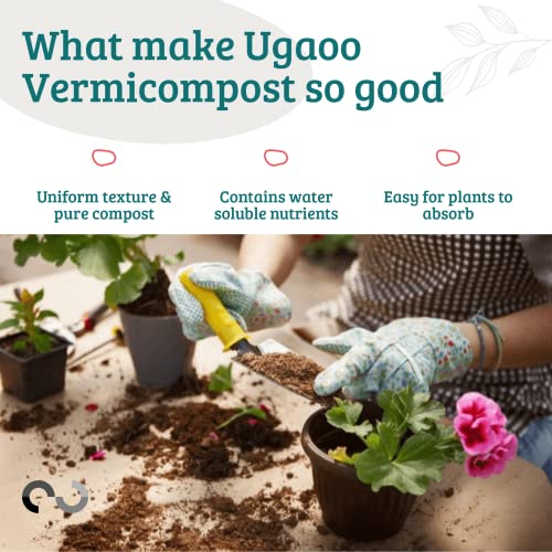 Ugaoo Organic Vermicompost Fertilizer for Plants – 1 Kg | 100% Natural Vermi Compost Manure for Home Garden, Vegetables, Indoor & Balcony Plants | Organic Soil Booster for Plant - Image 5