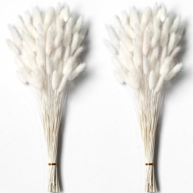120 PCS White Dried Pampas Grass Decor 17inch Pompas Floral Dry Flowers for Decoration Pampas Grass in Bulk Tall White Bunny Tails Dried Flowers for Boho Wedding