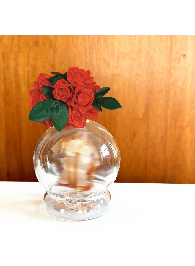 High Borosilicate Clear Spherical Glass Vase, Special Flower Container for Rose, Desktop Ornament Home Wedding Decoration