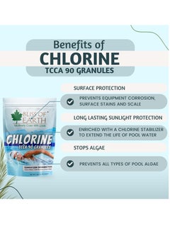 BLISS OF EARTH Bliss of Earth Japanese Chlorine Powder for Pool, Clean & Clear Swimming Pool, Kills Bacteria & Stops Algae, Pool Disinfectant Granular Chlorine 2x453gm  - Image 2