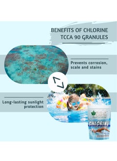 BLISS OF EARTH Bliss of Earth Japanese Chlorine Powder for Pool, Clean & Clear Swimming Pool, Kills Bacteria & Stops Algae, Pool Disinfectant Granular Chlorine 2x453gm  - Image 4
