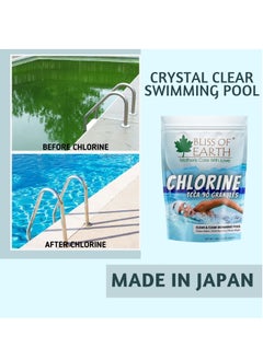 BLISS OF EARTH Bliss of Earth Japanese Chlorine Powder for Pool, Clean & Clear Swimming Pool, Kills Bacteria & Stops Algae, Pool Disinfectant Granular Chlorine 2x453gm  - Image 3