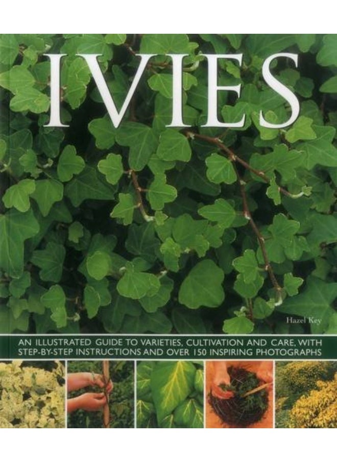 null - Ivies - Image 1