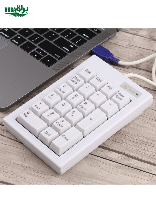 DX-21A 21-keys USB Wired Mechanical Black Shaft Mini Numeric Keyboard(White)