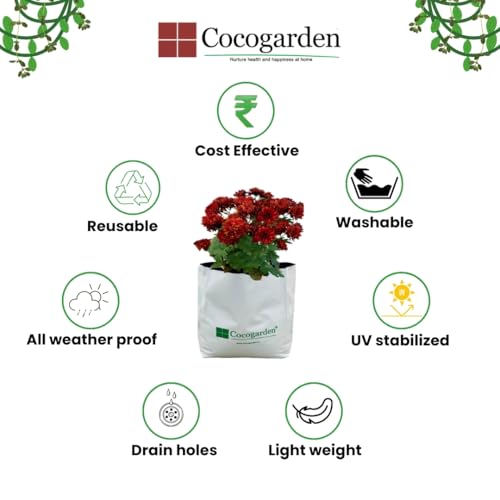 cocogarden UV Treated Poly Grow Bags for Terrace Gardening (28 x 28 x 48) cms (White, Pack of 2) | Home Gardening Plant Container Bag for Leafy Vegetable and Flower Plants - Image 3