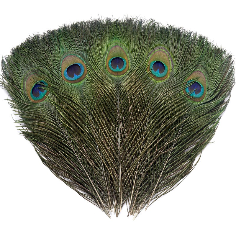 12 PCS Real Natural Peacock Eye Feathers 1012 inch for DIY Craft Wedding and Holiday Decorations