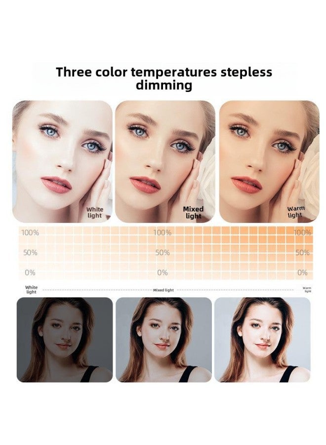 Live Fill Light Photography LED Anchor Beauty Professional High Soft Light Large Square Fill Light Three-color Adjustable-Specifications:19inch  + Floor Stand  - Image 5