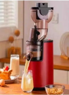 Denx DENX DX3203 Juicer, 1000W, 500ml, for preparing fresh juices  - Image 3