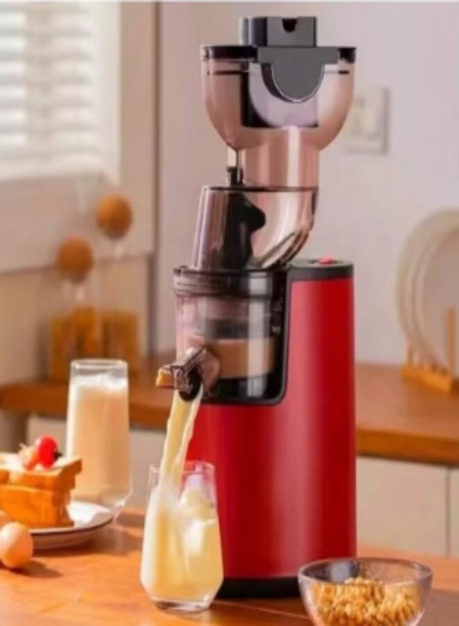 DENX DX3203 Juicer, 1000W, 500ml, for preparing fresh juices - Image 3