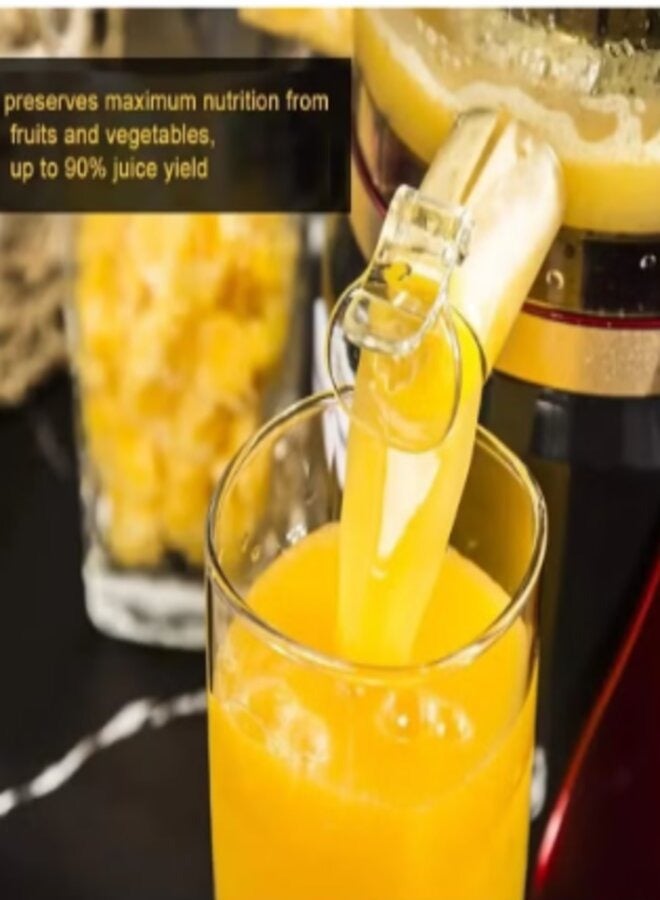 DENX DX3203 Juicer, 1000W, 500ml, for preparing fresh juices - Image 5