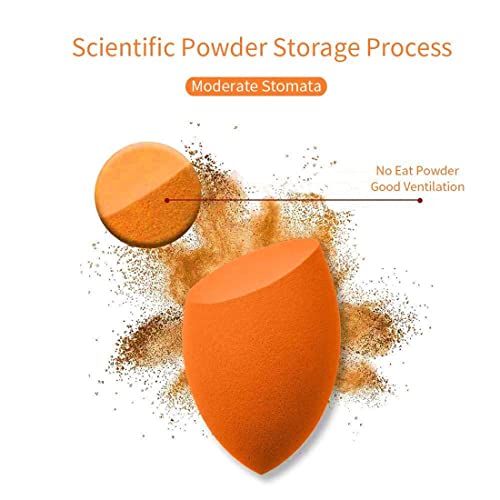 Adbeni Beauty Sponge Face Makeup Puff Sponge, Assorted Color - Image 4