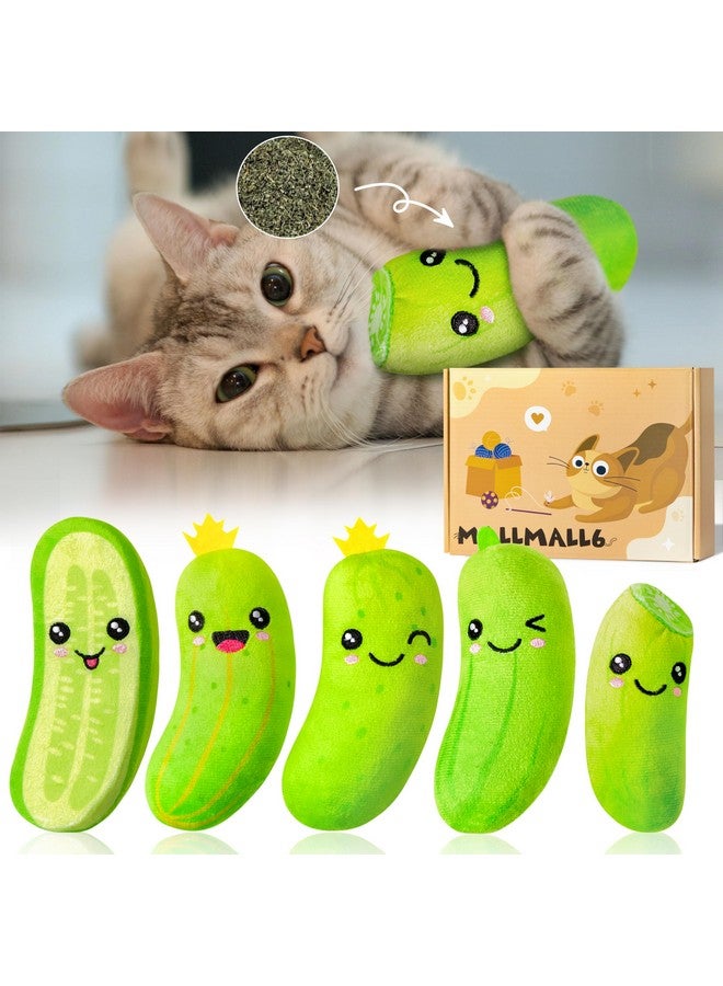 MALLMALL6 5Pcs Pickle Cat Toys, Kitten Catnip Toys for Cat Lover Gifts, Indoor Kitten Chew Bite Kick Cucumber Catmint Supplies, Interactive Pet Set with Cute Expression for Pet Presents - Image 1
