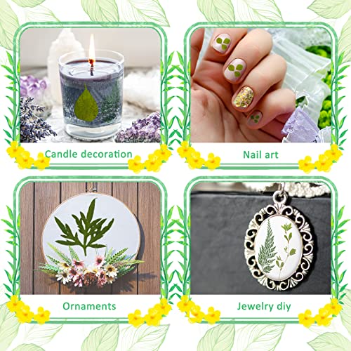 Timtin 84 Pieces Dried Pressed Leaves Flowers for Resin Mini Dried Flowers for Crafts Greenery Assorted for Art DIY Handmade Bookmarks 4 Bags(Classic Style) - Image 4