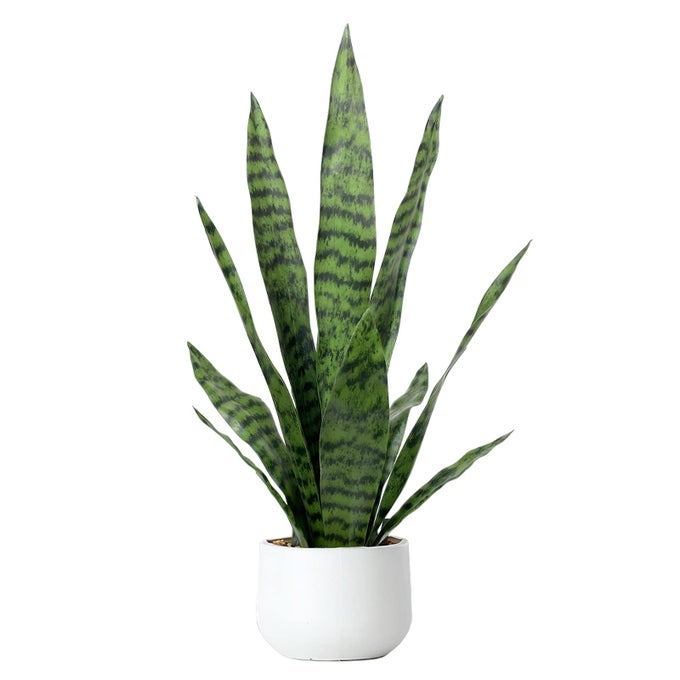 ARTIFICIAL SNAKE PLANT 225 FAUX AGAVE FAKE SANSEVIERIA ARTIFICIAL POTTED PLANTS FOR INDOOR AND OUTDOOR HOME OFFICE DCOR WHITE POT