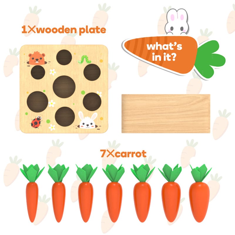 XPIY Montessori Toys for 1 Year Old, Carrots Harvest Wooden Baby Toys for 6-12 Months Educational Shape Sorting Matching Toys for Toddler Fine Motor Skill Development, Gift for Kids Birthday Easter - Image 5
