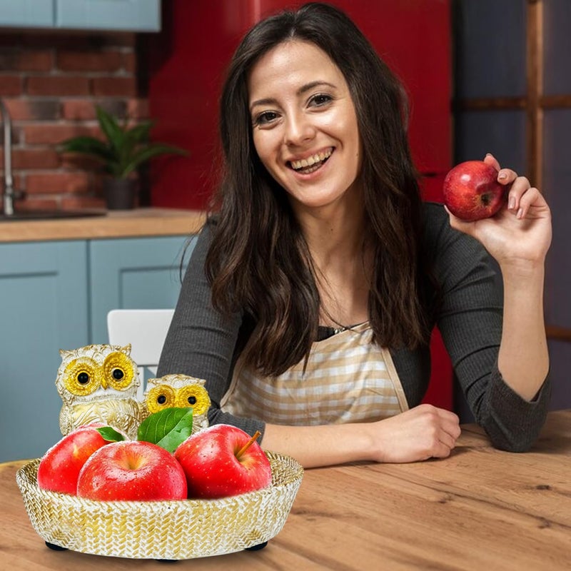 Go Hooked Owl Basket Set of 2 for Home & Office Dcor | Multipurpose Polyresin Storage Basket Organizer owl showpiece for Gifting Tabletop Decor Resin Craft Home Accessory Vanity Decor - Image 4