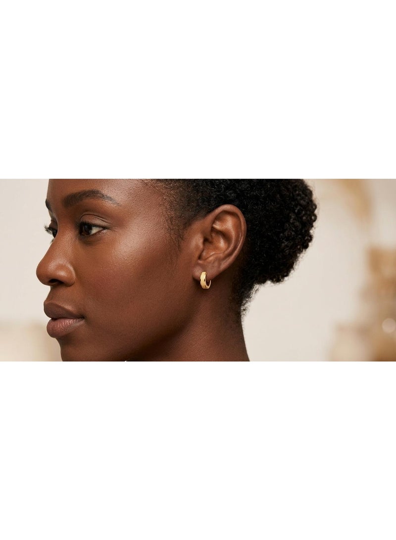 Luxuria A gold hoop earring featuring a textured or "frosted" finish in the center. Very similar options are available in stainless steel. - Image 3