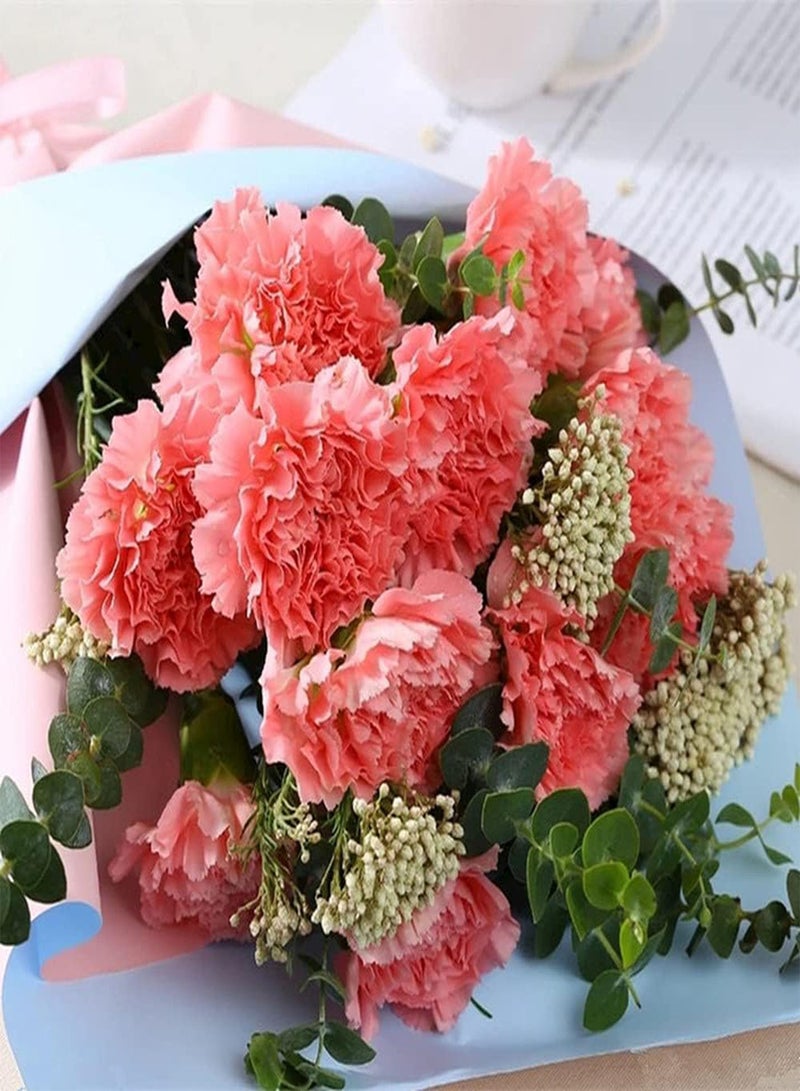 GGOOT 200Pcs ?Easy Planting Carnation Seeds Elegant Pink Flowers Decorate Home Balcony Unique Ornamental Flowers Create Beautiful Garden Landscape
