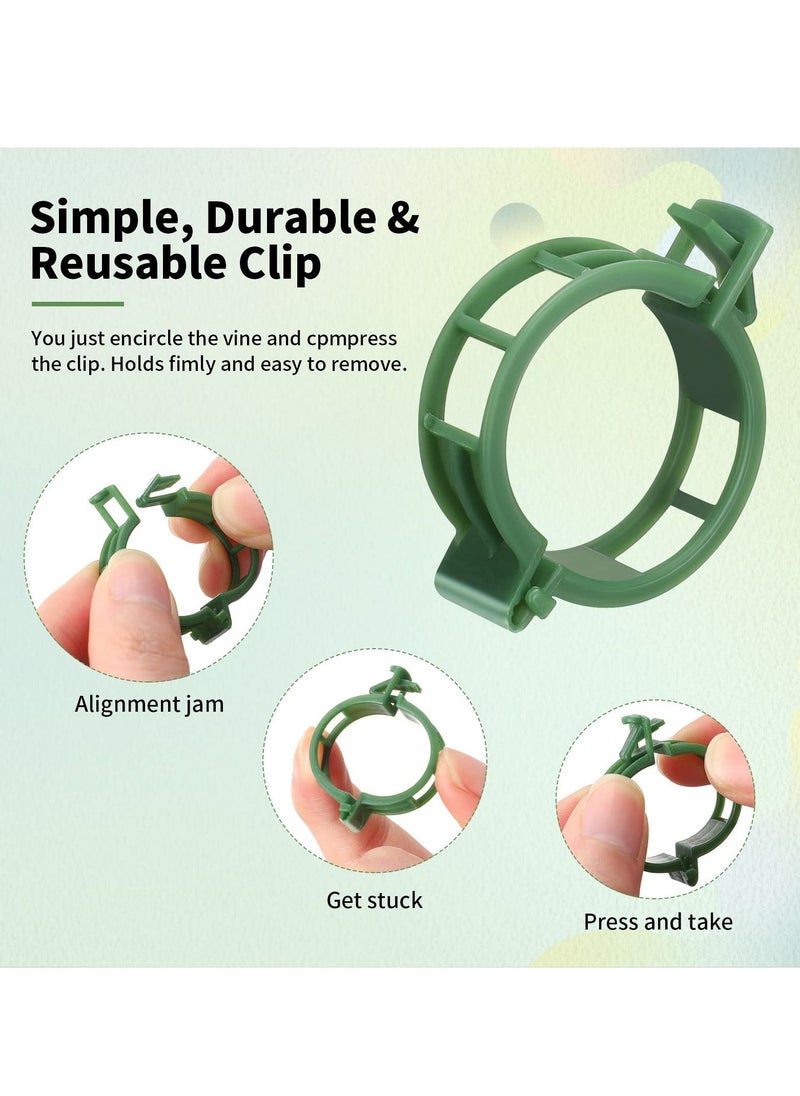 SYOSI Garden Plant Clip, 300 Pieces Vegetable Plant Root Stem Fixing Clips Plastic Tied Rattan Tools Planting Gardening Accessories for Farmer, Gardener, Home Garden (Green)  - Image 3
