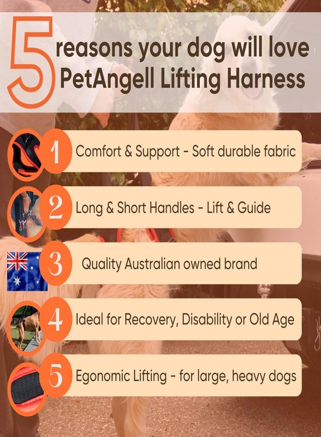 PetAngell حزام دعم للأرجل الخلفية للكلاب - حزام رفع بمقبض وحزام كتف للمساعدة في رفع الكلاب المسنة والمشي بها - دعم للأرجل الخلفية لحركة الحيوانات الأليفة أو التعافي - صغير - Image 2