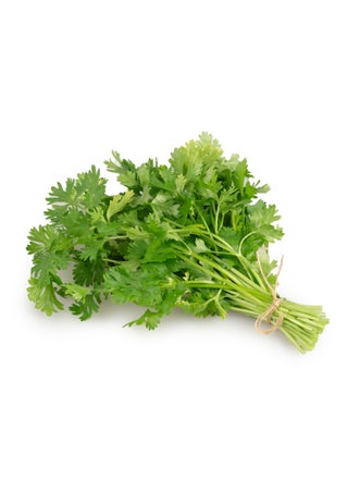 Coriander Leaves