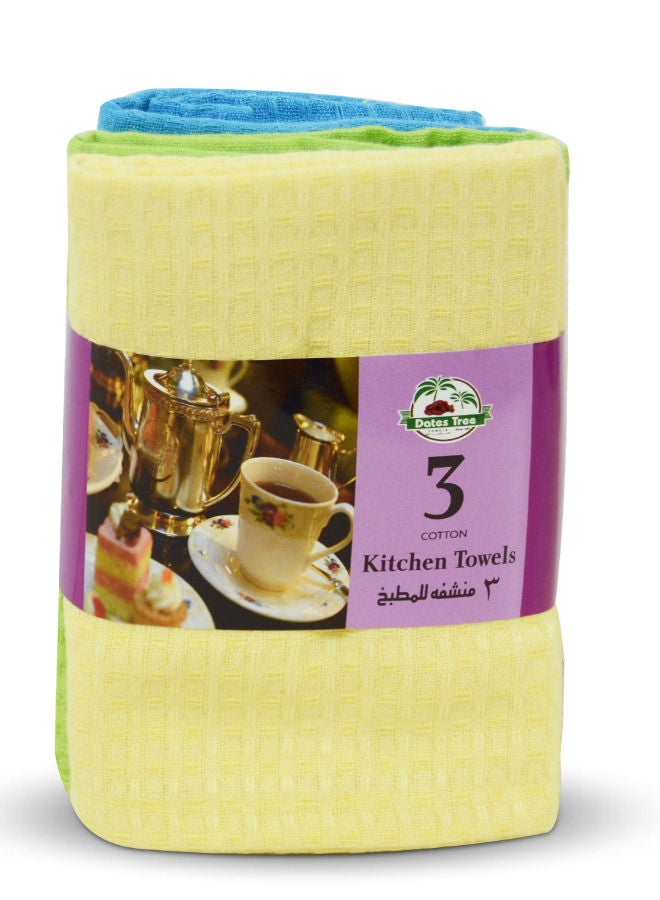 Dates Tree Multi-Purpose Cotton Kitchen Cleaning Towel - 70 x 50cm Pack of 3 - Image 1