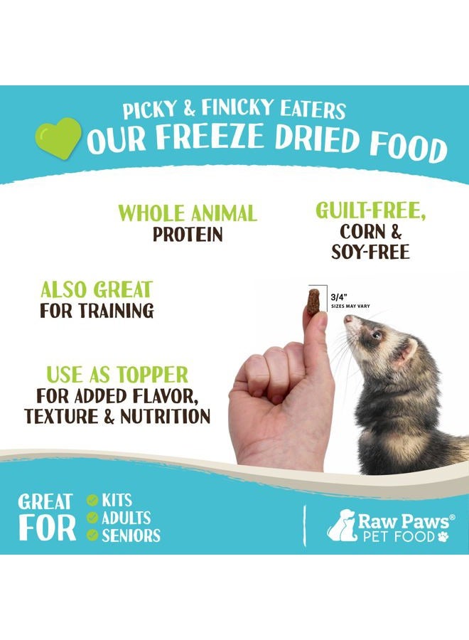 Raw Paws Freeze Dried Raw Ferret Food, Beef 16-oz - Made in USA - Premium, Grain Free Ferret Diet for Small, Adult, Senior & Baby Ferrets - Also use as Natural Ferret Treats for Rewarding & Training - Image 3
