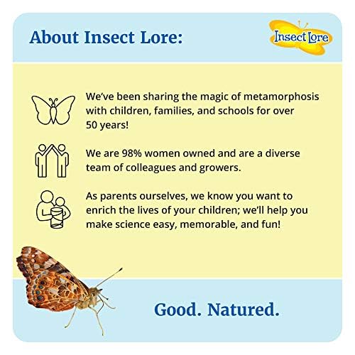Insect Lore كوب الحشرات من اليرقات | 5 يرقات حية لحديقة الفراشات | إعادة تعبئة لمجموعة فراشة السيدة المطلية | ملصقات وسجل الشرنقة | نشاط تعليمي STEM - Image 2