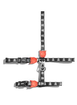 Zee.Cat Skull 2.0 Harness & Leash Set - pzsku/Z2C02C9314FB4DD15DDD9Z/45/_/1717843897/0f53bac8-5dc3-4f77-9d32-785dfb9e787c