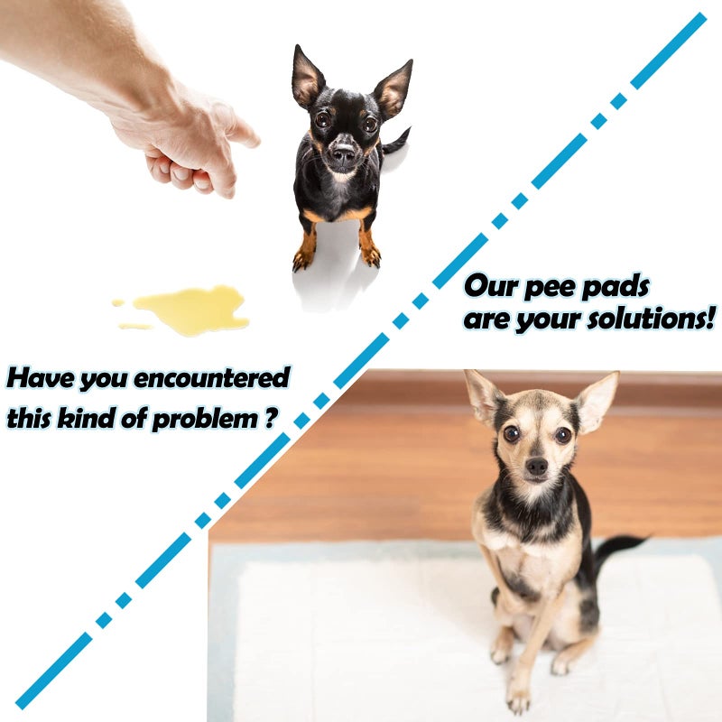 CAILOS 20 Pcs Rabbit Pee Pads, Disposable Super Absorbent Diaper, Pet Toilet/Potty Training Pads for Guinea Pigs, Hedgehog, Hamsters, Chinchillas, Cats, Dogs - Image 5