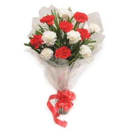 Floralbay Floralbay Red and White Carnation Fresh Flowers in Cellophane Wrapping Bunch of 12