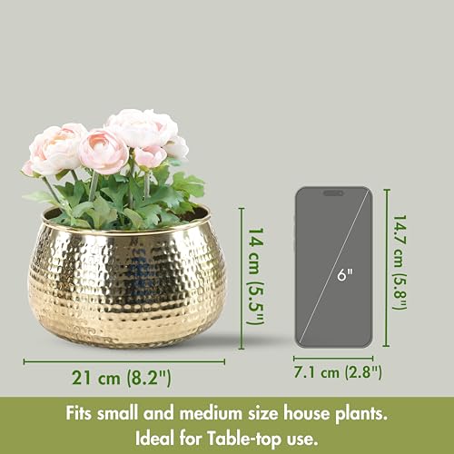 BEHOMA Metal Hammered Golden Bowl Planter for Home Decoration | Plant Pots for Home Living Room Bedroom Office Decor | Size Height- 5.5" x Dia. 8" inch (Plants not Included) - Image 3