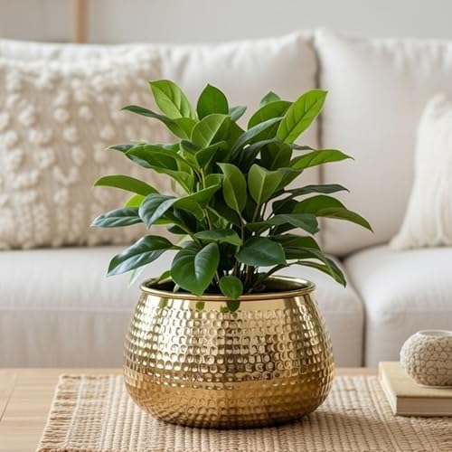 BEHOMA Metal Hammered Golden Bowl Planter for Home Decoration | Plant Pots for Home Living Room Bedroom Office Decor | Size Height- 5.5" x Dia. 8" inch (Plants not Included) - Image 1