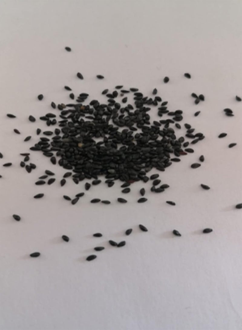 GGOOT seeds 30Pcs Multicolor Columbine Seeds,Hardy Perennial Summer Flowering Seeds Easy to Grow Home Garden Outdoor Yard Farm Plant Columbine Seeds - Image 5