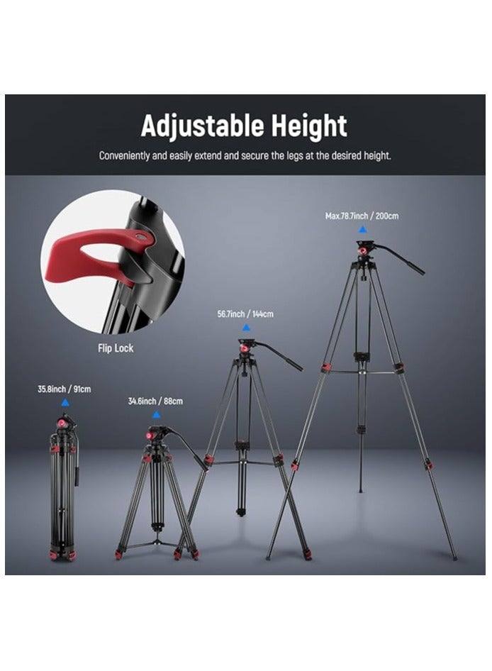 NEEWER 79"/200cm Video Tripod, Heavy Duty Aluminum Alloy Camera Tripod Stand with 360° Fluid Drag Head, QR Plate Compatible with Canon Nikon Sony and Other DSLR Camera Camcorder, Load Up to 17.6lb/8kg - Image 2
