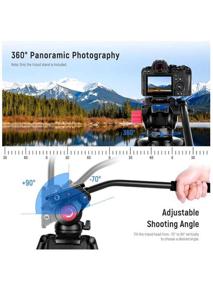 NEEWER 79"/200cm Video Tripod, Heavy Duty Aluminum Alloy Camera Tripod Stand with 360° Fluid Drag Head, QR Plate Compatible with Canon Nikon Sony and Other DSLR Camera Camcorder, Load Up to 17.6lb/8kg - Image 5