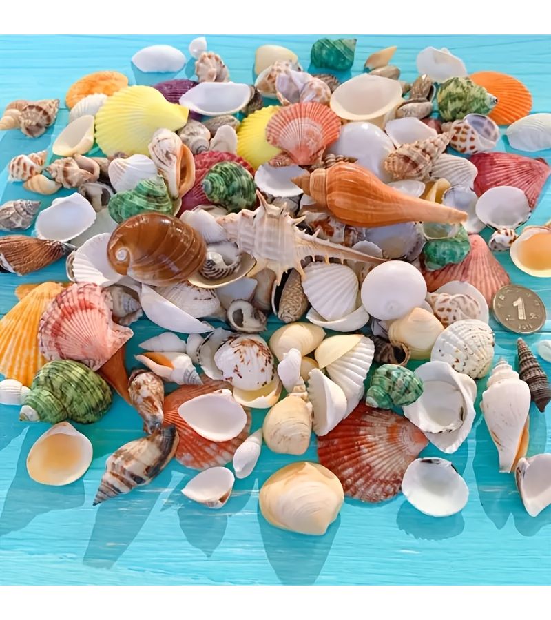Natural Shell Mixture About 60pcs Small Conch Shells For Aquarium Landscaping Beach Wedding Decorations DIY Art Projects White And Colorful Small Sized 0.5 To 1.5 Inches Landscape Filler - Image 1